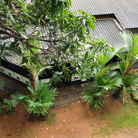 Green Bamboo House Sigirija Zewnętrze zdjęcie