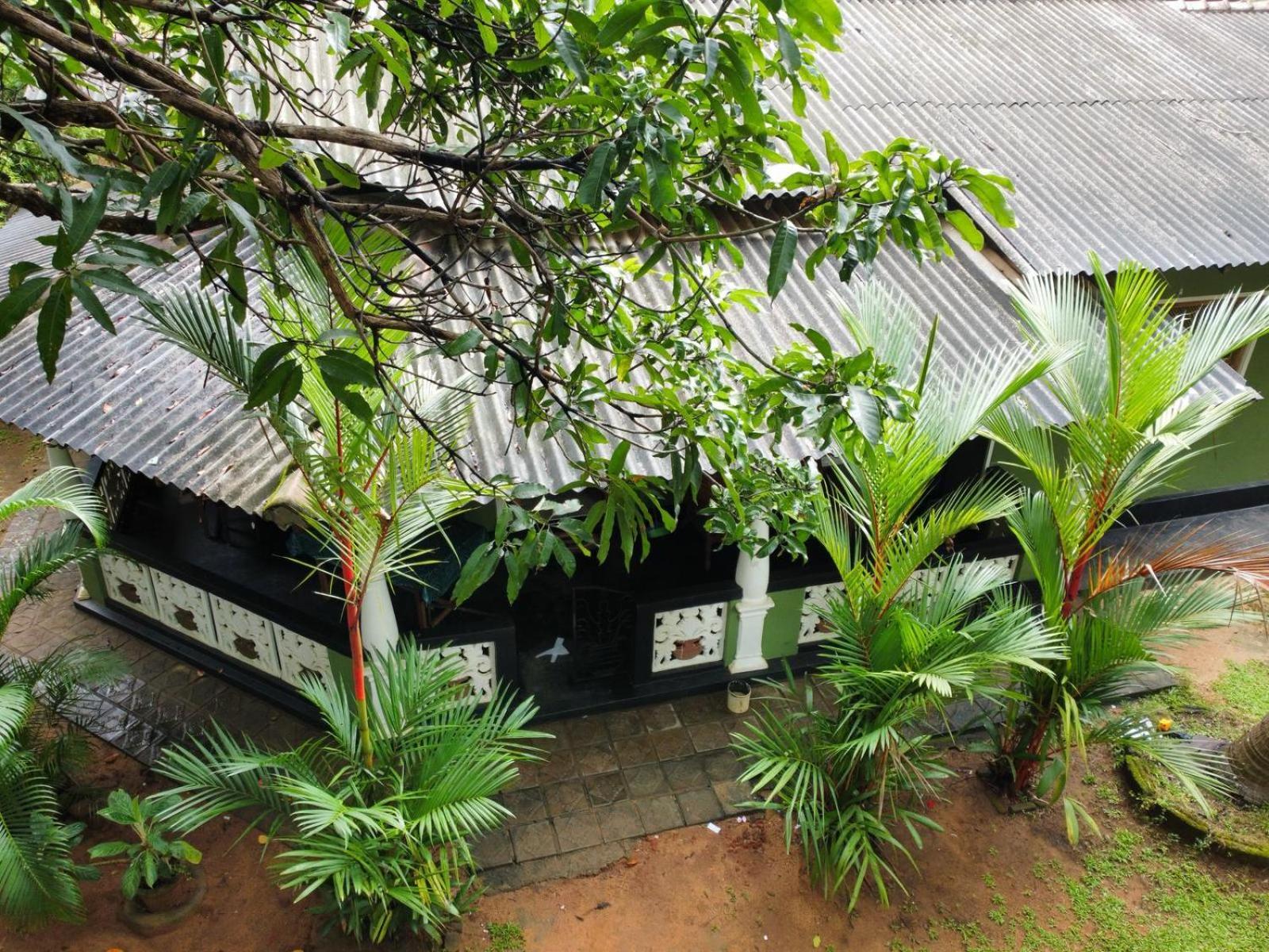 Green Bamboo House Sigirija Zewnętrze zdjęcie