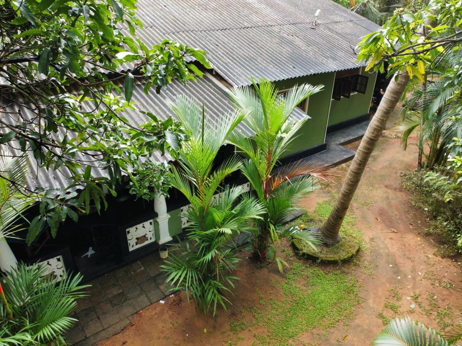 Green Bamboo House Sigirija Zewnętrze zdjęcie